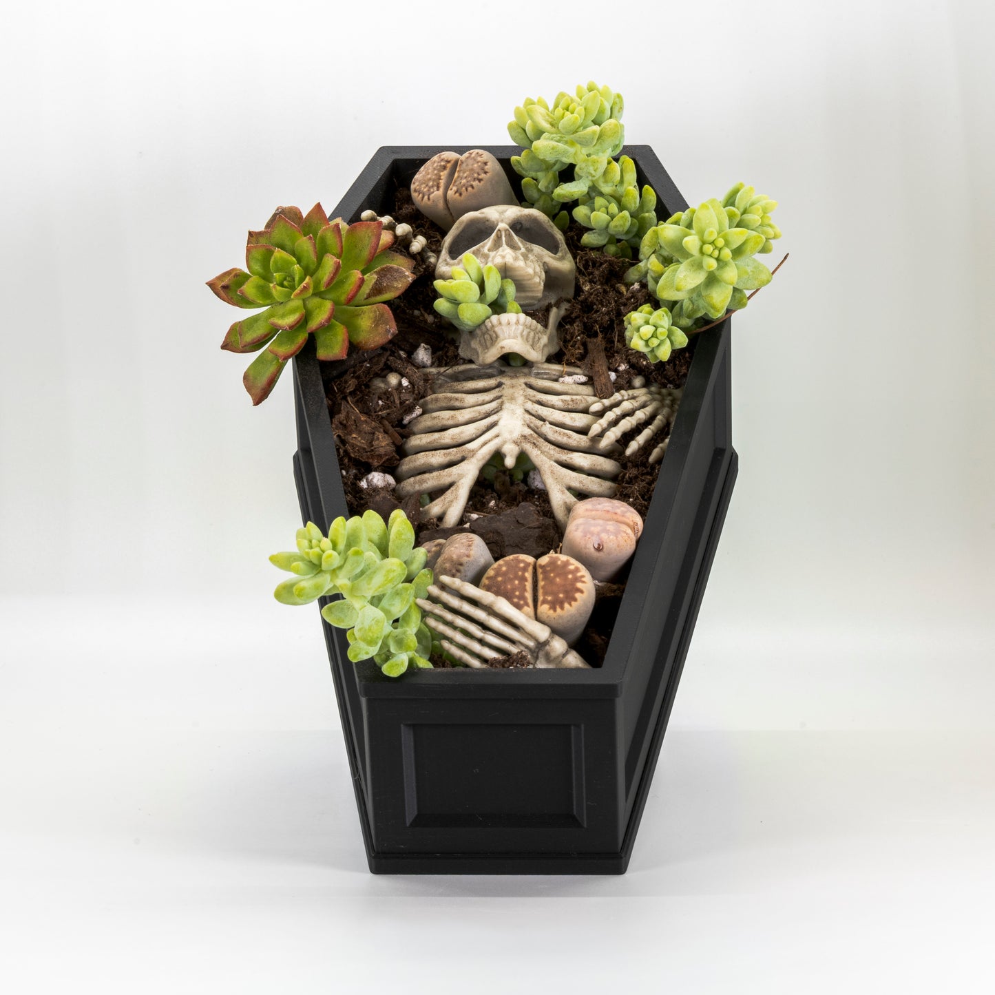 Coffin Plant Pot