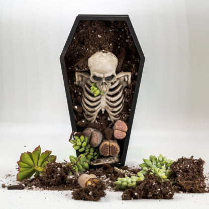 Coffin Plant Pot
