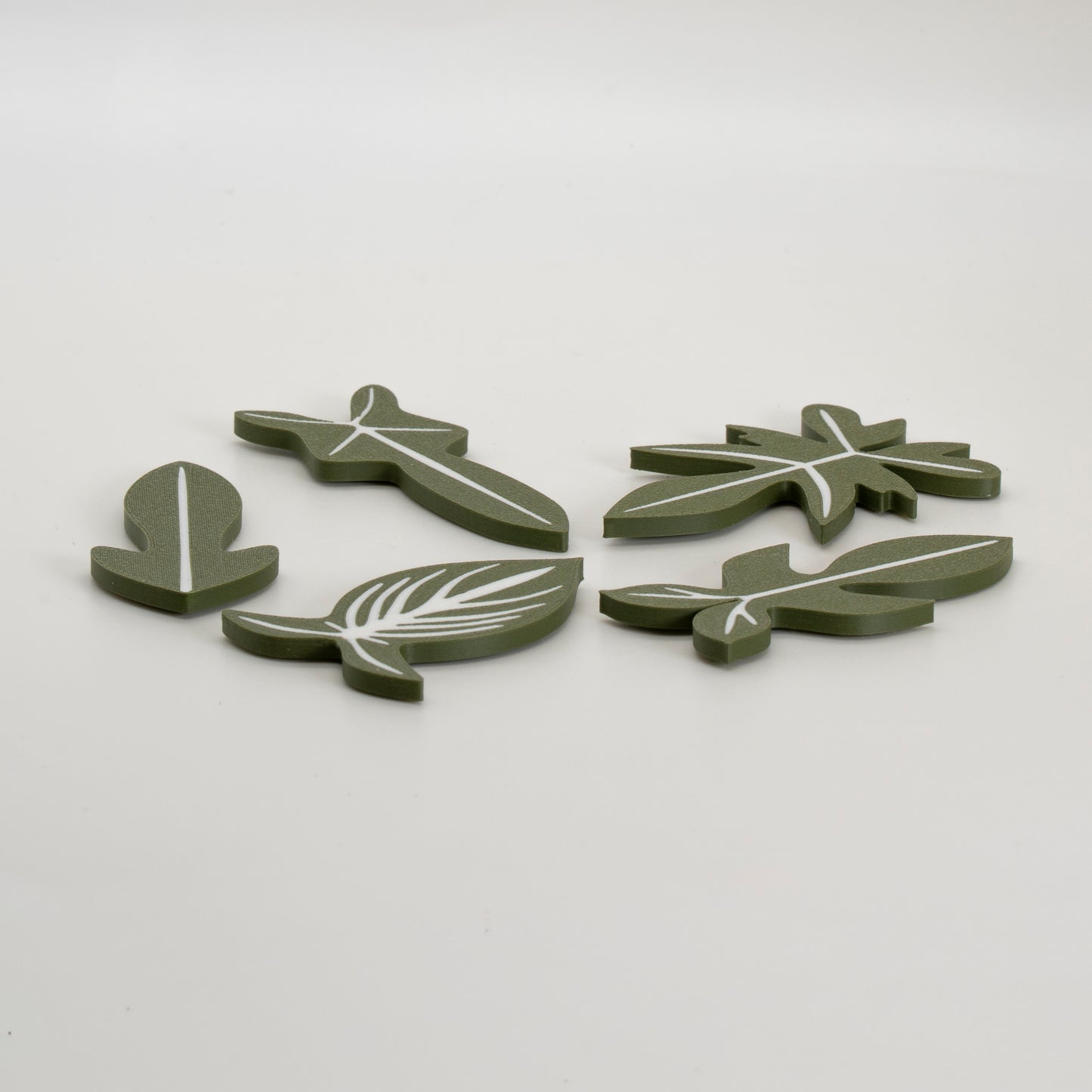 Assorted Philodendron Magnets
