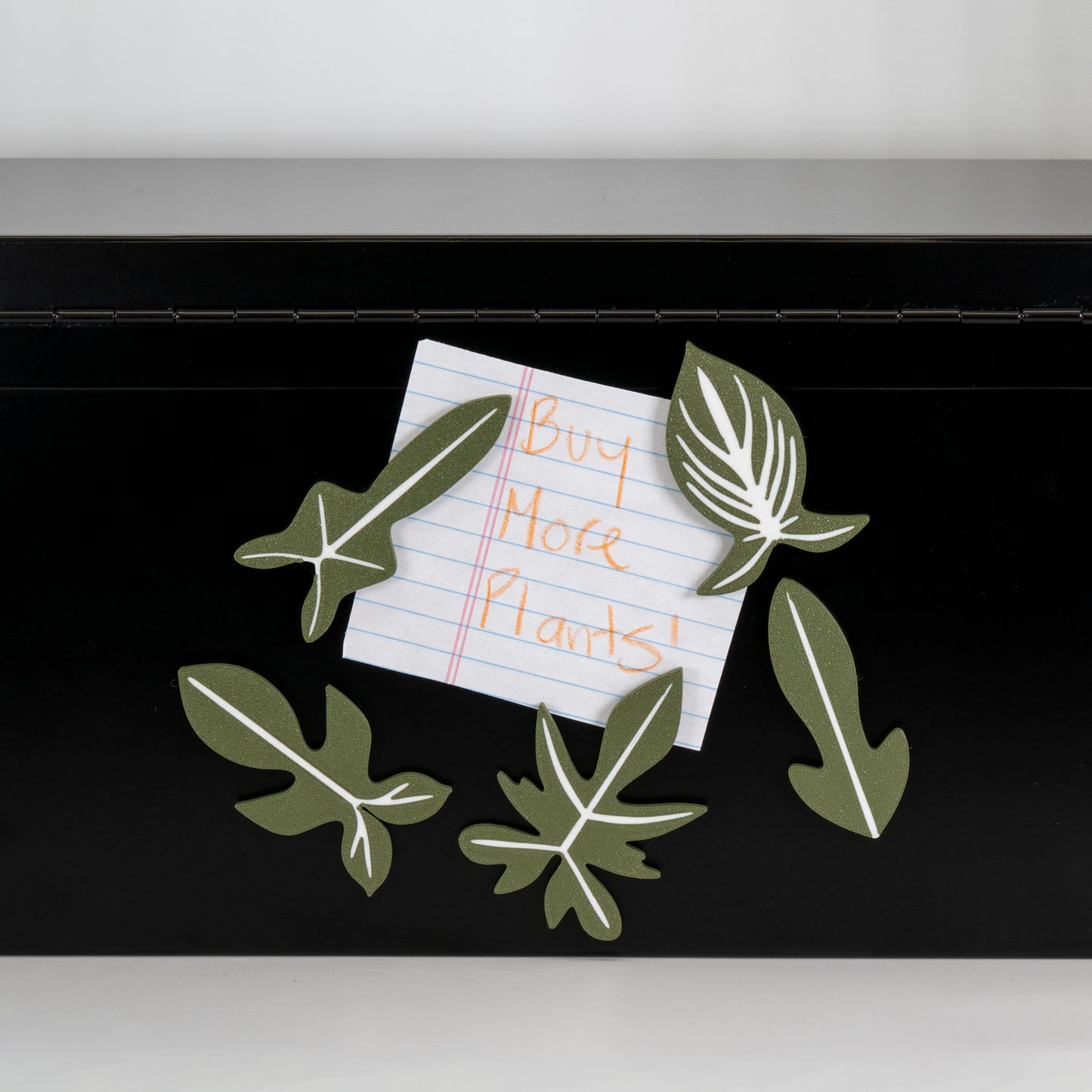 Assorted Philodendron Magnets