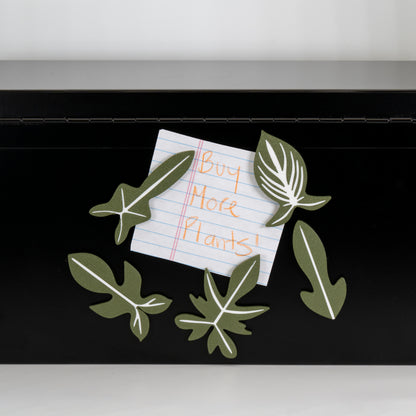 Assorted Philodendron Magnets